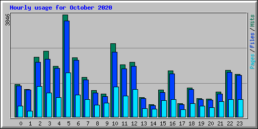 Hourly usage for October 2020